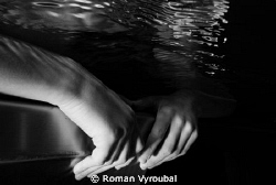 . by Roman Vyroubal 
